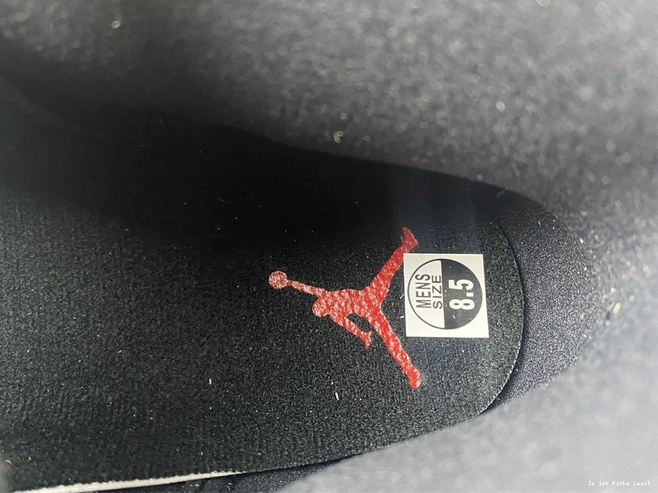 (2022) Playoffs Jordan Retro - 12 CT8013-006 0120